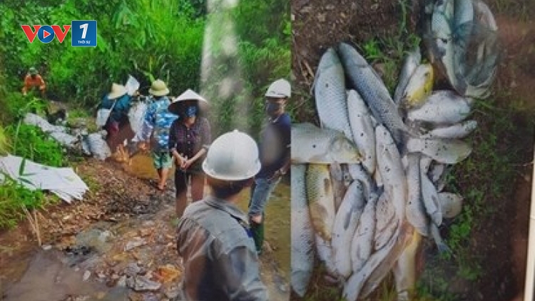 Sao nỡ lặng im trước sinh mạng con người? (16/10/2019)