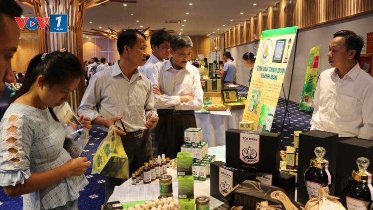Kết nối thị trường tiêu thụ nông đặc sản vùng miền núi, vùng sâu, vùng xa, biển đảo (30/10/2019)