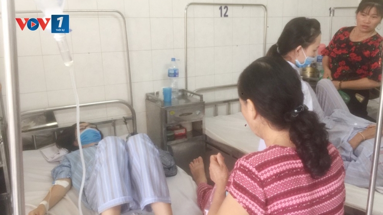 Bệnh sốt xuất huyết diễn biến phức tạp - Người dân không được chủ quan (23/11/2019)
