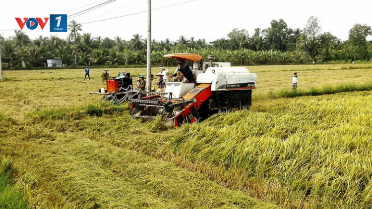 Nhà nông học... làm nông (6/11/2019)