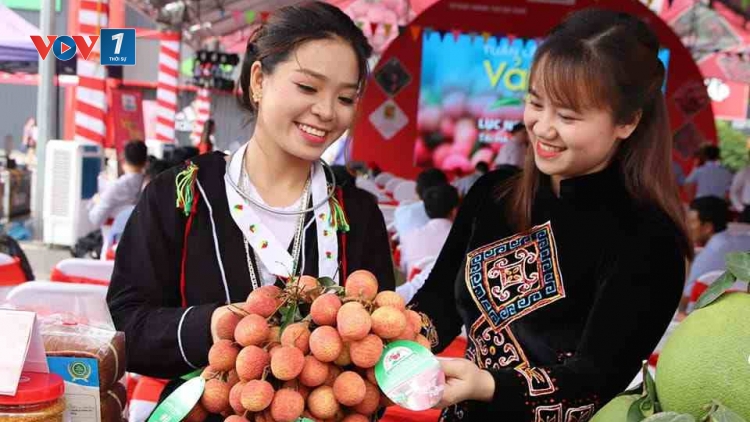 Chương trình "Mỗi xã phường một sản phẩm (OCOP)" - Cần quan tâm yếu tố thị trường (28/11/2019)