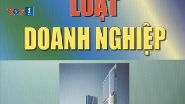 Kinh nghiệm quốc tế về đánh giá mức độ phát triển doanh nghiệp. (19/11/2019)