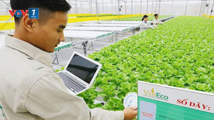 Tìm thị trường cho công nghệ nano trong nông nghiệp (11/11/2019)