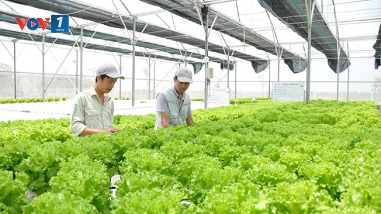 Khởi nghiệp trong lĩnh vực nông nghiệp và vấn đề đào tạo nguồn nhân lực (6/12/2019)