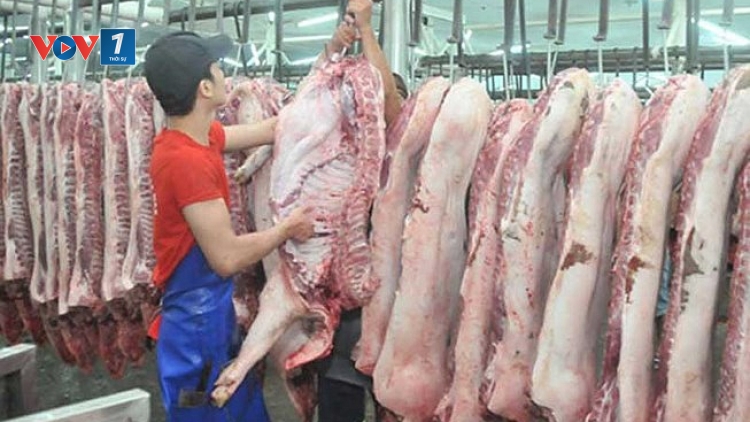 Giá thịt lợn và một năm “sóng gió” của ngành chăn nuôi – thú y (26/12/2019)