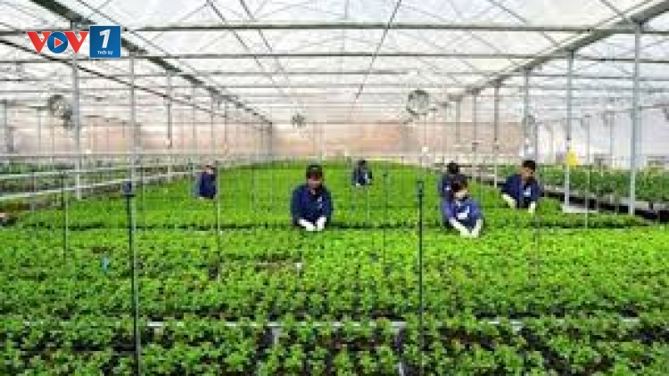 Share Farm - mô hình huy động vốn cho khởi nghiệp (10/2/1019)