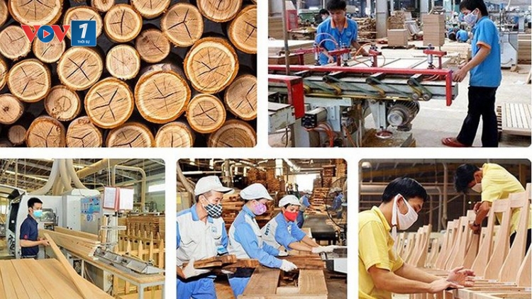 Chế biến, xuất khẩu gỗ - giải pháp bứt phá năm 2019 (22/2/2019)
