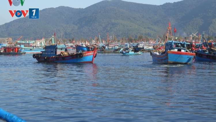 Ngư dân rộn ràng ra khơi đầu năm (18/2/2019)