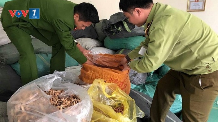 Quản lý thị trường Hà Nội: Thu giữ hơn 7 tấn thảo dược không rõ nguồn gốc (29/3/2019)