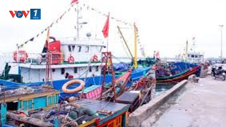 Nam Định: Bất cập hệ thống cơ sở hạ tầng phục vụ nghề cá (11/3/2019)