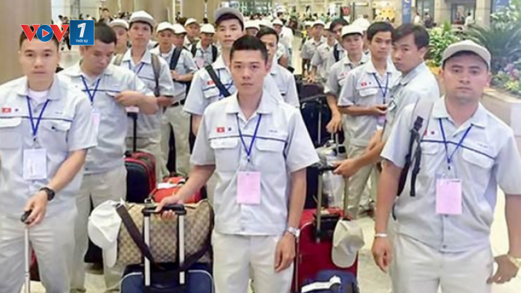 Thị trường xuất khẩu lao động năm 2019 (4/3/2019)