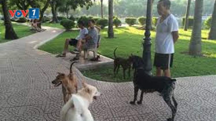 Đừng xem thường mạng sống vì chủ quan (11/4/2019)