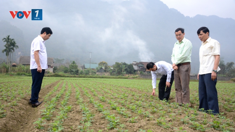 Ngành Nông nghiệp và những giải pháp vượt qua nhiều khó khăn những tháng đầu năm 2019 (23/4/2019)