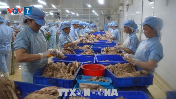 Cấp bách khắc phục cảnh báo thẻ vàng IUU (25/4/2019)
