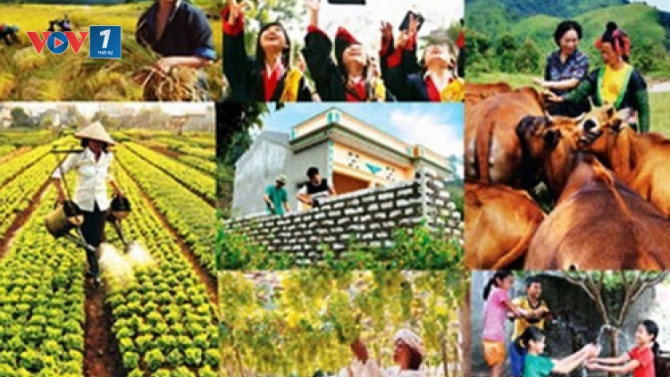Giải pháp giúp người dân giảm nghèo bền vững (25/4/2019)