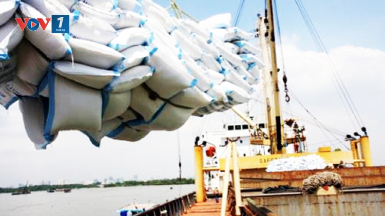 Xuất khẩu gạo của Việt Nam phải tính chuyện đường dài (28/6/2019)
