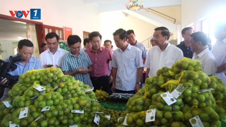 Các địa phương thực hiện xúc tiến, quảng bá thương hiệu hoa quả (5/6/2019)