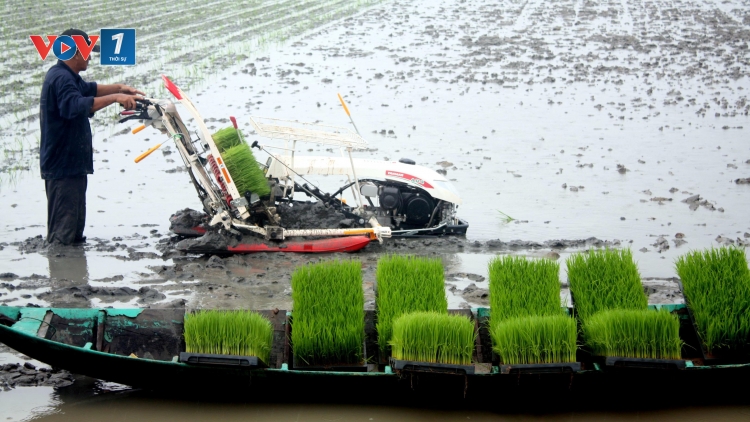Các ứng dụng công nghệ tiên tiến giảm phát thải khí nhà kính trong chăn nuôi (6/6/2019)