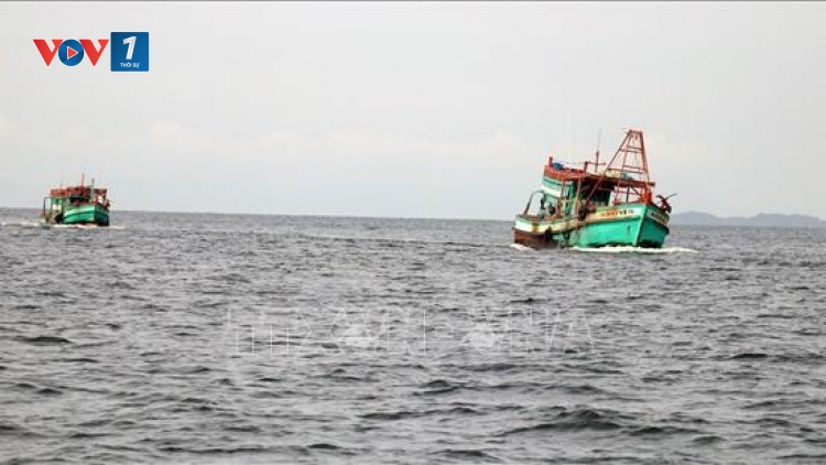 Kiên Giang quyết liệt ngăn chặn khai thác thủy sản bất hợp pháp (20/7/2019)