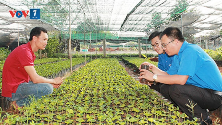 Hợp tác xã thanh niên khởi nghiệp- làn gió mới trong phát triển hợp tác xã (31/7/2019)