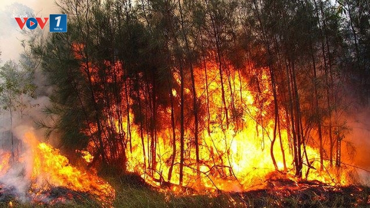 Tập trung cao độ phòng cháy, chữa cháy rừng (2/7/2019)