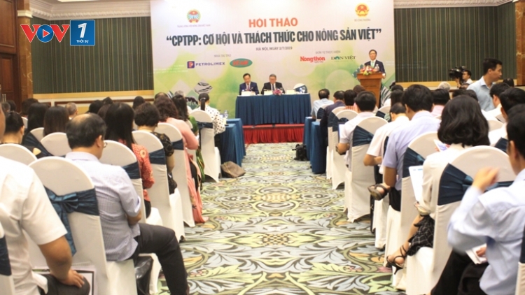 Sân chơi CPTPP và thách thức với nông sản Việt (6/7/2019)