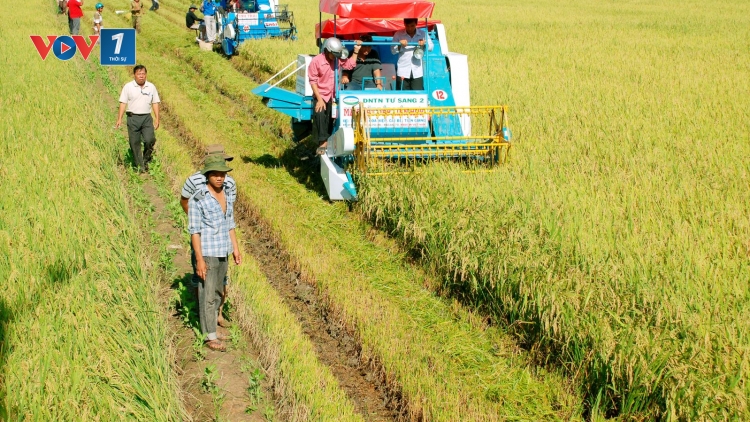 Áp dụng mô hình mới ứng dụng công nghệ trong sản xuất nông nghiệp thích ứng với biến đổi khí hậu (3/7/2019)