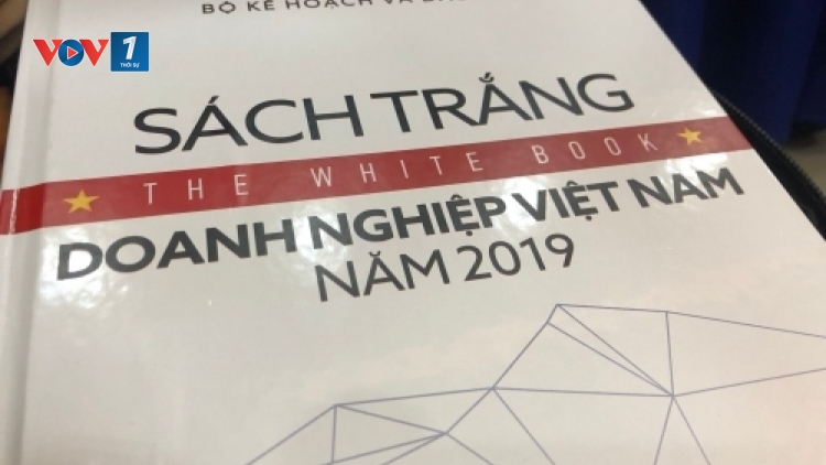 Sách Trắng Doanh nghiệp 2019: “Tài nguyên” đặc biệt! (11/7/2019)