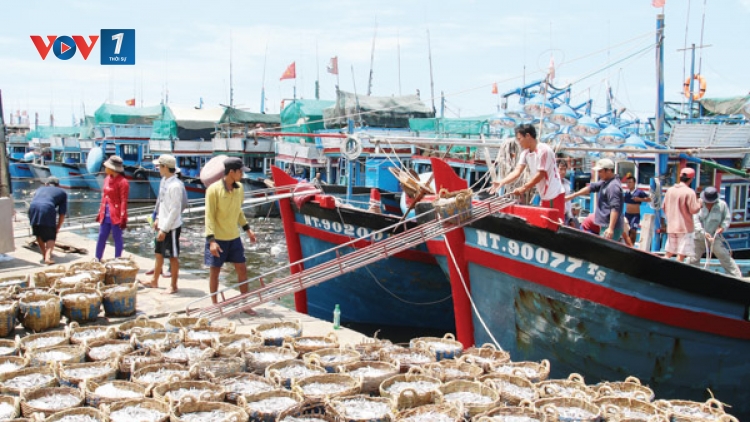 Ngành thủy sản nỗ lực vượt khó (8/7/2019)