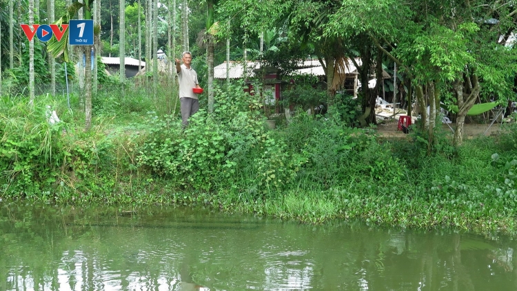 Làm giàu với mô hình kinh tế trang trại (30/7/2019)