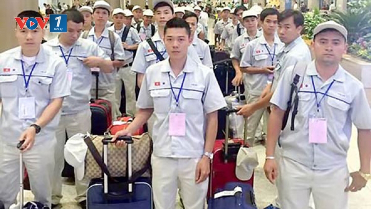 Chương trình đưa lao động thời vụ sang Hàn Quốc làm việc - Cơ hội và những cảnh báo (11/7/2019)