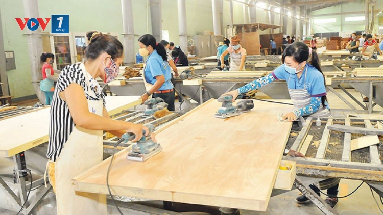 Ngành lâm nghiệp và mục tiêu xuất khẩu 10,5 tỷ đô la trong năm nay (15/7/2019)