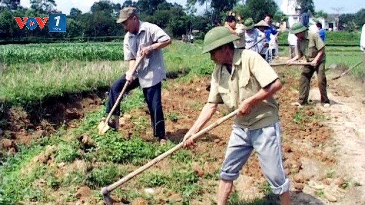 Gương điển hình cựu chiến binh nặng lòng với nông nghiệp, nông dân (27/7/2019)