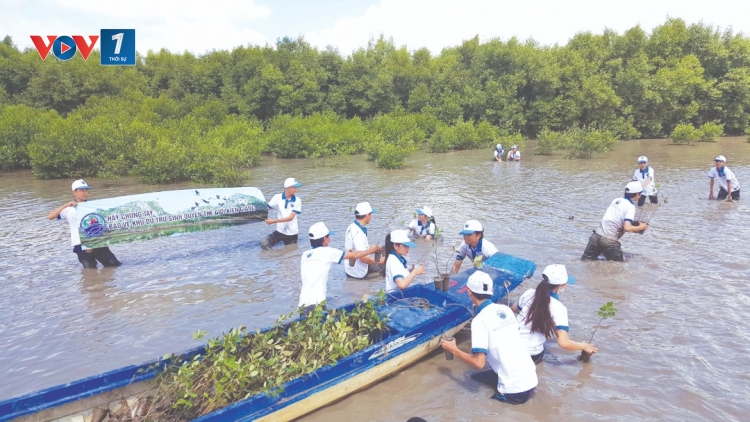 Chuyển đổi sinh kế ứng phó với biến đổi khí hậu (20/8/2019)