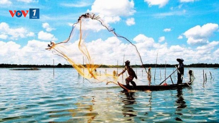 Cà Mau: Cần “cởi trói” để Đất Mũi phát triển (2/8/2019)