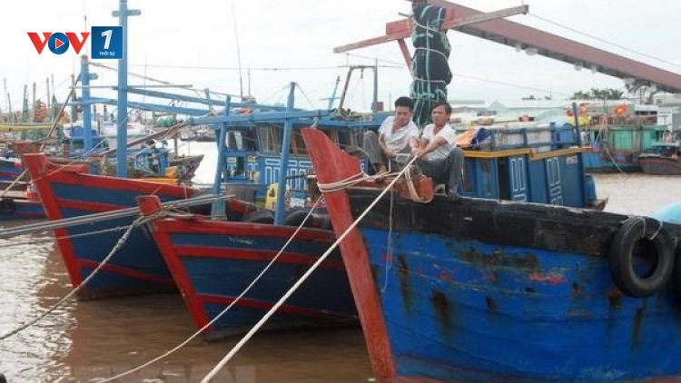 Kiến thức ứng phó với bão và áp thấp nhiệt đới khi đang đánh bắt trên biển (2/8/2019)