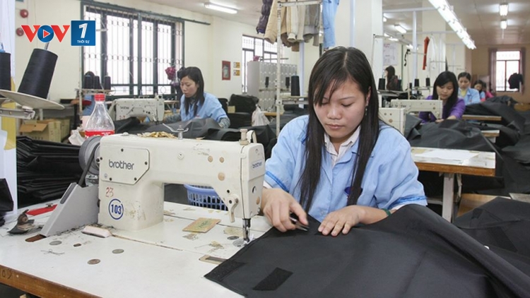 Vì sao doanh nghiệp tư nhân "không chịu lớn"? (13/8/2019)