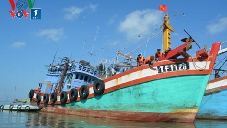 Giám sát tàu cá - Công cụ hữu hiệu chống đánh bắt cá bất hợp pháp (29/8/2019)