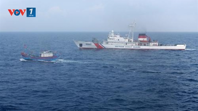Bộ tư lệnh Vùng Cảnh sát biển 1: Giữ gìn màu xanh của biển (20/8/2019)
