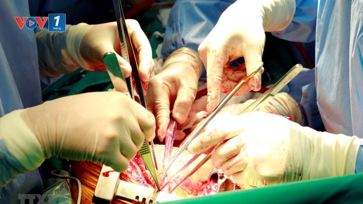 Bước tiến mới trong ghép tạng tại Việt Nam (26/8/2019)