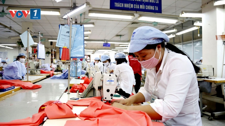 Kinh tế đang hướng đến hiệu quả và tăng năng suất (30/9/2019)