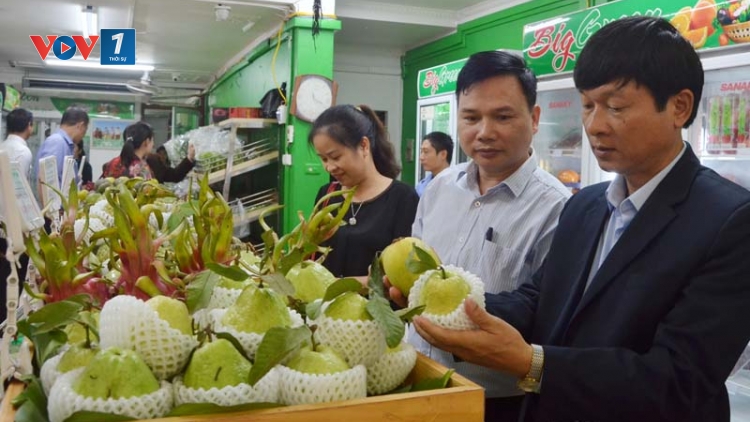 Phát triển nhãn hiệu tập thể cho sản phẩm nông nghiệp đặc trưng (21/1/2020)