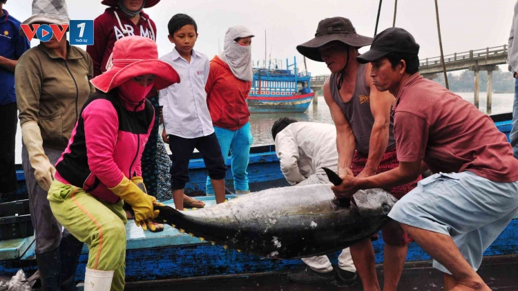 Gỡ thẻ vàng, cần quyết liệt hơn nữa (7/1/2020)