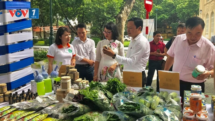 Kết nối tiêu thụ nông sản: Giải pháp hạn chế nông sản khó tiêu thụ (7/1/2020)