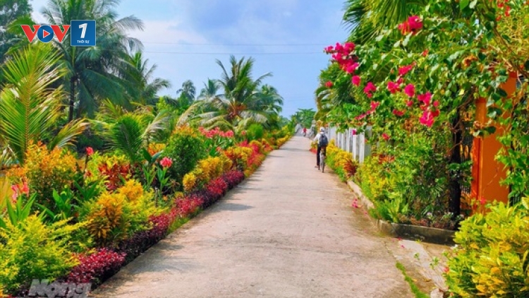 Xuân về trên vùng nông thôn mới Phước Long (22/1/2020)
