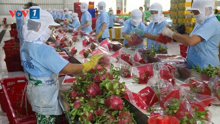 Cần thay đổi tư duy từ sản xuất đến thị trường, để xuất khẩu nông sản chính ngạch vào thị trường Trung Quốc (18/1/2020)