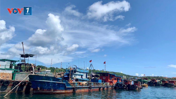 Tăng cường quản lý lao động tham gia hoạt động khai thác thuỷ sản (08/10/2020)
