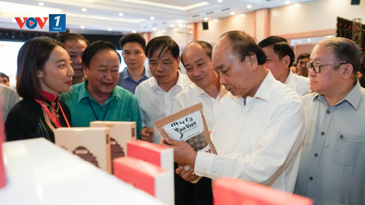 Nâng cao hiệu quả kinh tế cây mắc bằng giải pháp công nghệ (07/10/2020).