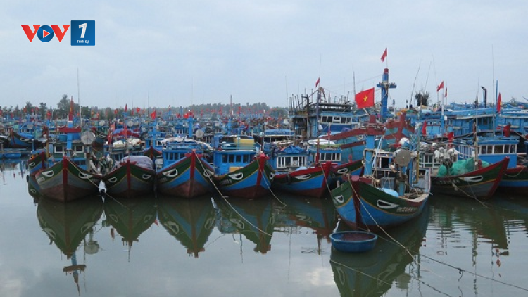 Chấm dứt khai thác thuỷ sản bất hợp pháp…IUU (05/10/2020)