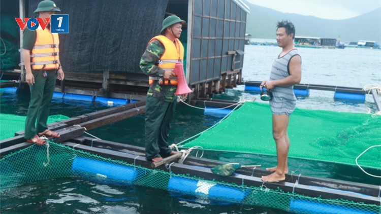 Sơ tán dân khỏi vùng nguy cơ sạt lở, không để ai ở lại lồng bè nuôi trồng thuỷ sản (9/11/2020)